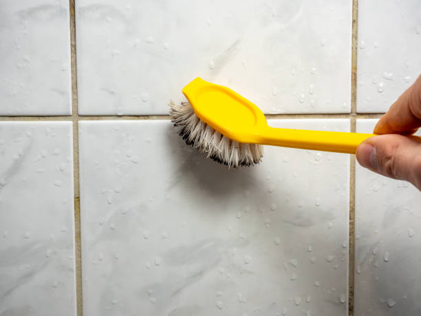 Best Insurance-Related Mold Remediation in Burwell, NE