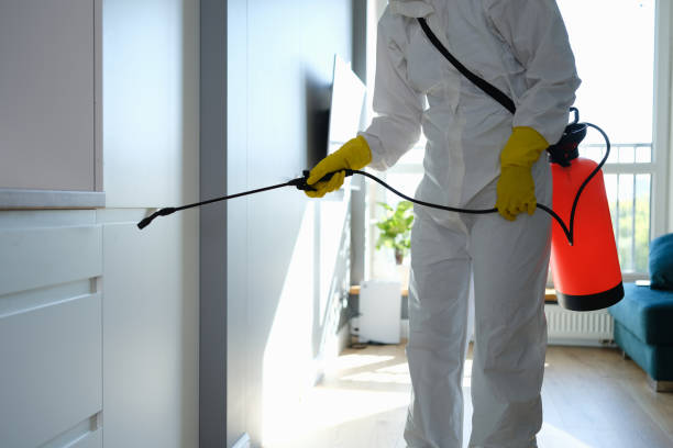 Best Mold Remediation for Schools in Burwell, NE